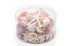 pink and white seashell pack